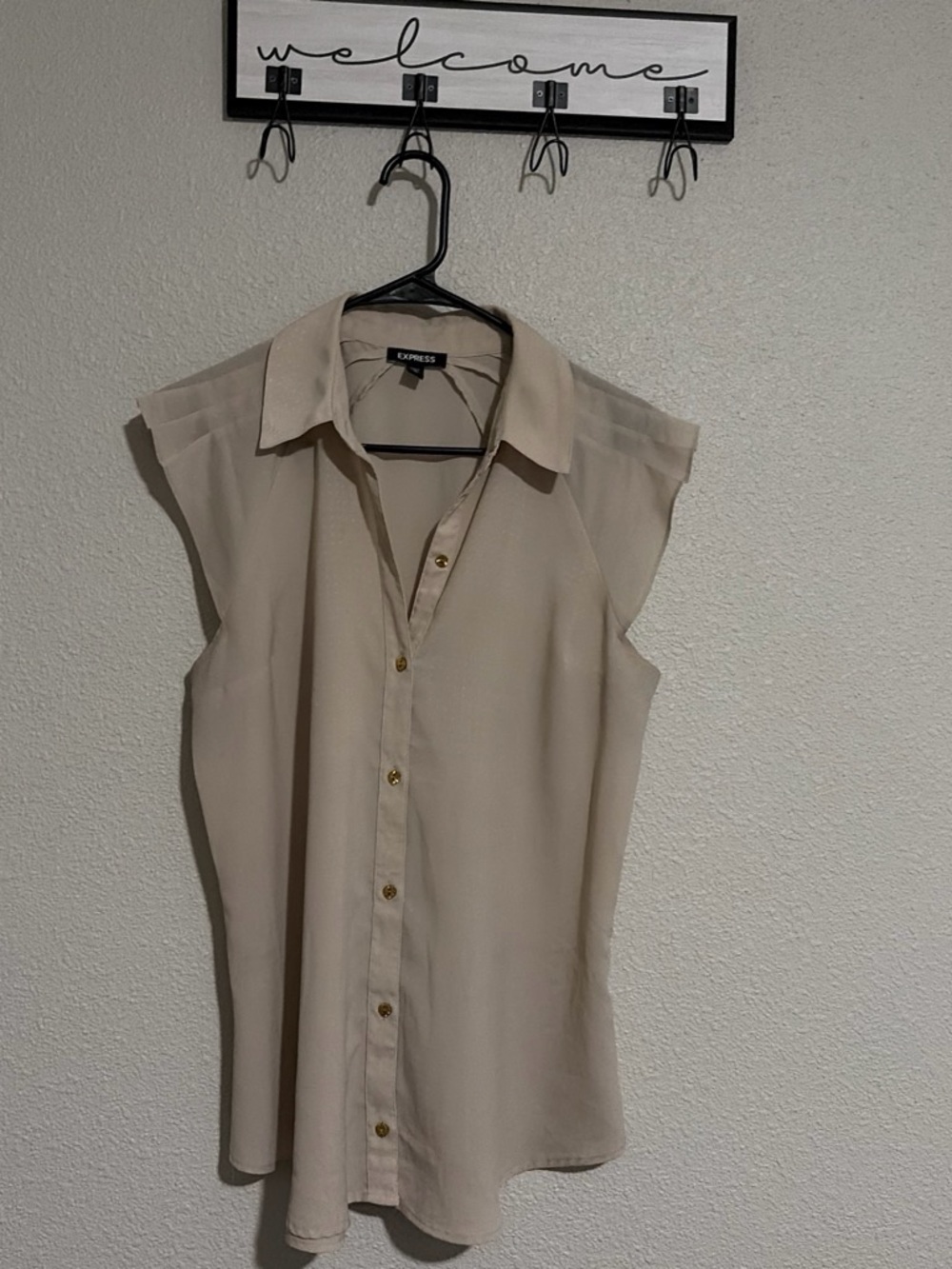 Express Beige Sleeveless Button-Front Blouse